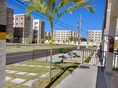 Apartamento com 2 Quartos à venda, 48m² no Catu de Abrantes (Abrantes), Camaçari