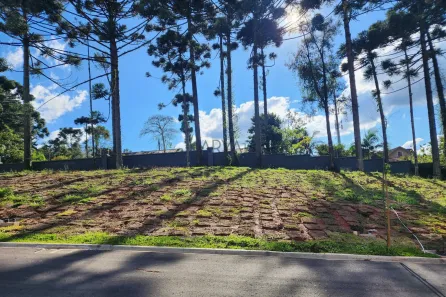 Lote/Terreno à venda, 266m² no Barreirinha, Curitiba