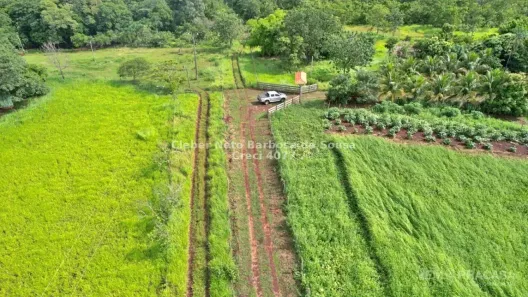 Fazenda/Sítio com 3 Quartos à venda, 200m² no Área Rural de Campo Grande, Campo Grande