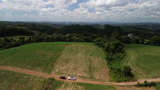 Fazenda/Sítio à venda, 20000m² no Centro, Campo Alegre