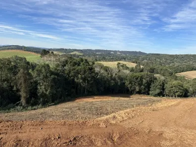 Lote/Terreno à venda, 14490m² no Povoado de Fragosos, Campo Alegre