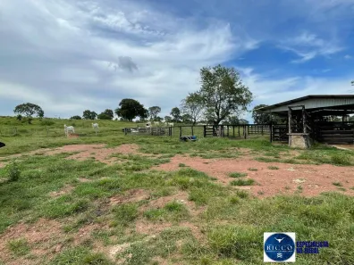 Fazenda/Sítio com 4 Quartos à venda, 50m² no Setor Central, São Miguel do Araguaia