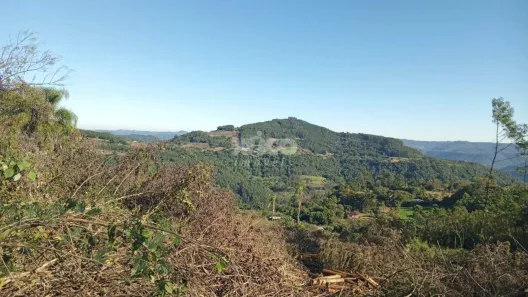 Fazenda/Sítio com 1 Quarto à venda, 5000m² no , Picada Café