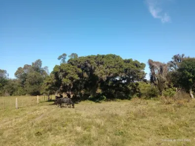 Lote/Terreno à venda, 200000m² no Lami, Porto Alegre