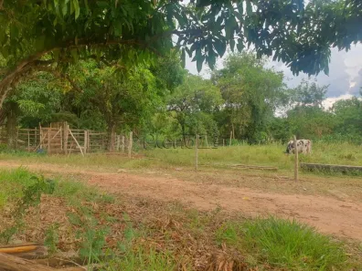 Fazenda/Sítio à venda, 49500m² no Cidade Universitária, Campinas