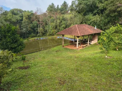 Fazenda/Sítio com 3 Quartos à venda, 12100m² no Vila David Antônio, Campo Largo