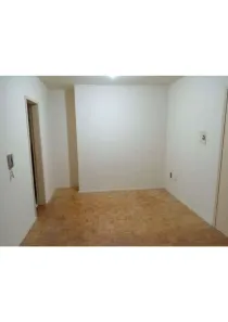 Kitnet com 1 Quarto para alugar, 30m² no Rio Branco, Porto Alegre