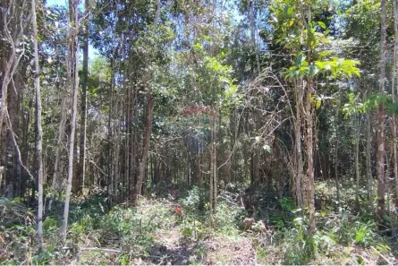 Lote/Terreno à venda, 1126m² no Arraial D'Ajuda, Porto Seguro