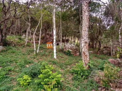 Lote/Terreno à venda, 2972m² no Sambaqui, Florianópolis