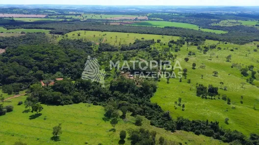 Fazenda/Sítio à venda, 170000m² no , Santa Cruz de Goiás