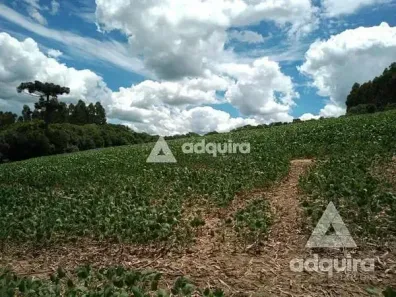 Fazenda/Sítio com 1 Quarto à venda, 10m² no , Palmeira