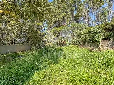 Lote/Terreno à venda, 1301m² no Jardim Capão Redondo, São Paulo