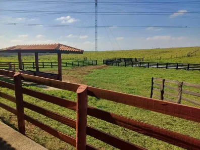 Fazenda/Sítio com 1 Quarto à venda, 100m² no Centro, Guaratinguetá