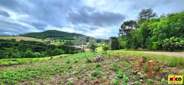 Fazenda/Sítio com 1 Quarto à venda, 4133m² no Dos Boêmios, Nova Petrópolis