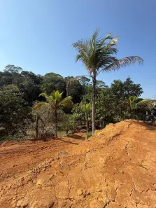 Lote/Terreno à venda, 20000m² no Área Rural de Cachoeiras de Macacu, Cachoeiras de Macacu