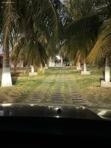Fazenda/Sítio com 4 Quartos à venda, 6266m² no Pratiús, Pindoretama