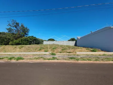 Lote/Terreno à venda, 231m² no Jardim Suzana Ferraz, Jaú
