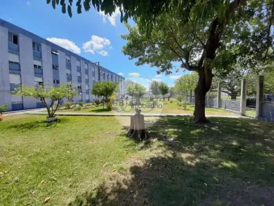 Apartamento com 2 Quartos para alugar, 10m² no Cidade Nova, Rio Grande