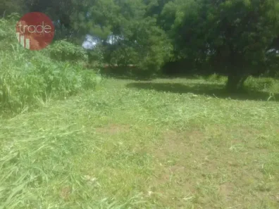 Lote/Terreno para alugar, 6000m² no Campos Elíseos, Ribeirão Preto