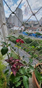 Apartamento com 2 Quartos à venda, 54m² no Barra Funda, São Paulo
