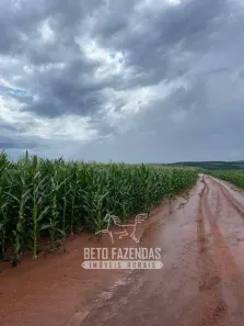 Fazenda/Sítio à venda, 4730000m² no Área Rural de Londrina, Londrina