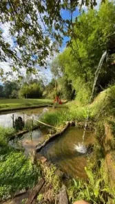 Fazenda/Sítio com 4 Quartos à venda, 54000m² no , Monteiro Lobato