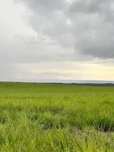 Fazenda/Sítio com 5 Quartos à venda, 14000m² no Setor Central, Araguaína