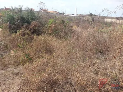 Lote/Terreno à venda, 5000m² no Panaquatira, São José de Ribamar