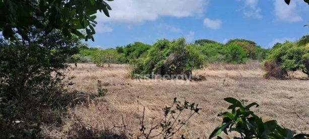 Lote/Terreno à venda, 800m² no , Tibau do Sul
