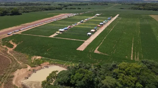 Fazenda/Sítio com 5 Quartos à venda, 4500m² no , Paranatinga