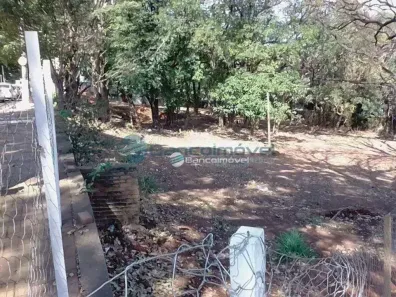 Lote/Terreno à venda, 2200m² no Vila José Paulino Nogueira, Paulínia