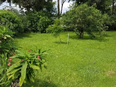 Lote/Terreno com 1 Quarto à venda, 76230m² no São João do Rio Vermelho, Florianópolis