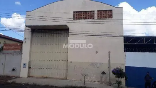 Galpão/Depósito/Armazém para alugar, 250m² no Custódio Pereira, Uberlândia