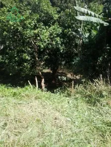 Lote/Terreno à venda, 245m² no Panorama (Polvilho), Cajamar