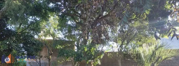 Lote/Terreno à venda, 836m² no Menino Deus, Porto Alegre