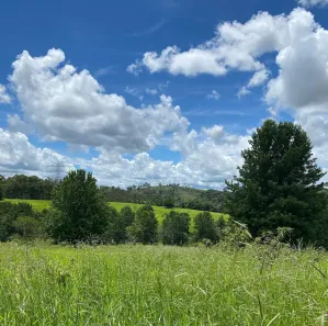 Lote/Terreno à venda, 20000m² no Campo Largo, Jarinu