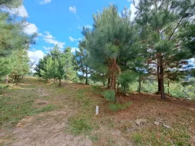 Lote/Terreno à venda, 24281m² no Benedito Alto, Doutor Pedrinho