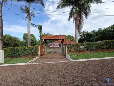 Fazenda/Sítio com 3 Quartos à venda, 350m² no Gleba Ribeirão Sarandi, Maringá