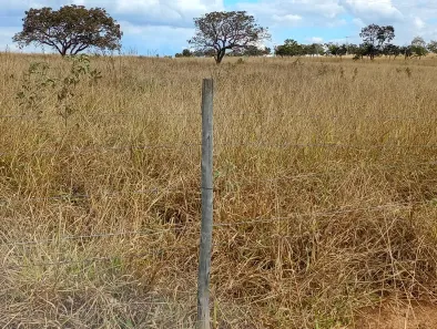 Fazenda/Sítio com 4 Quartos à venda, 100000m² no , Jaboticatubas