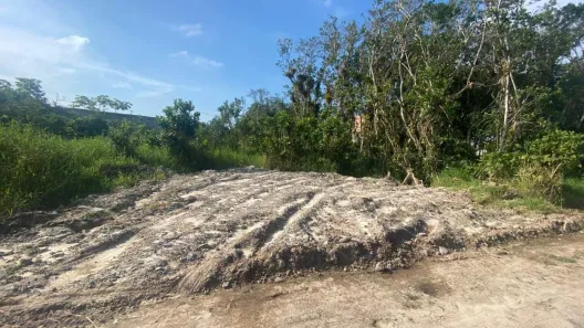 Lote/Terreno à venda, 420m² no Balneário Praia Grande, Matinhos