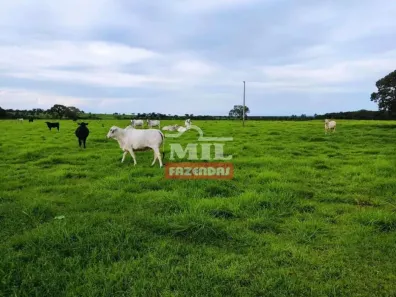 Fazenda/Sítio à venda, 500m² no , Araguacema