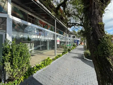 Ponto Comercial para alugar, 100m² no Sete de Setembro, Ivoti