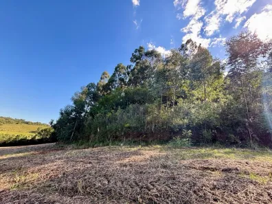 Lote/Terreno à venda, 57000m² no , André da Rocha