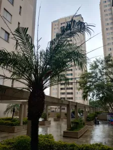 Apartamento com 3 Quartos à venda, 74m² no Vila Sofia, São Paulo
