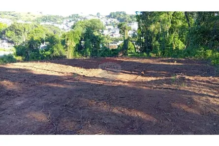 Lote/Terreno para alugar, 8000m² no Jardim Carambeí, São Roque