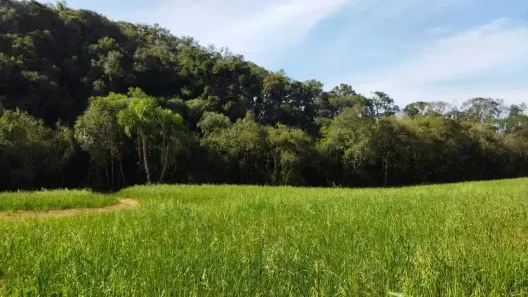 Fazenda/Sítio à venda, 21754m² no Área Rural de Araucária, Araucária