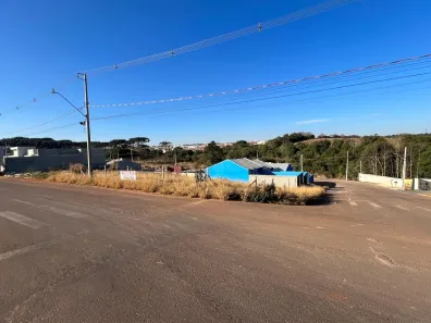 Lote/Terreno à venda, 370m² no Cará-cará, Ponta Grossa