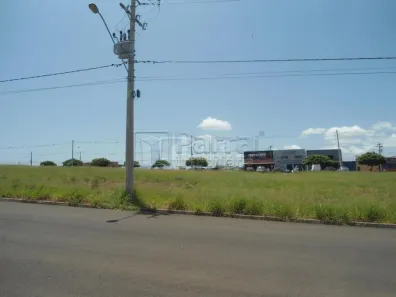 Lote/Terreno para alugar, 350m² no Residencial Ana Dorothéa, Franca