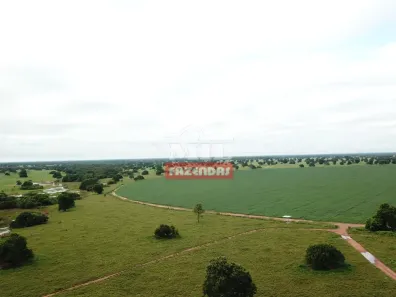 Fazenda/Sítio à venda, 1m² no , Santa Fé de Goiás