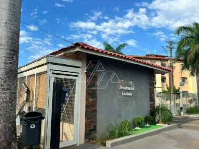 Apartamento com 2 Quartos para alugar, 50m² no Jardim Lavínia, Marília